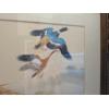 Image 2 : Beautiful Duck Framed Print 22'x27'