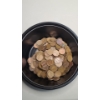 Image 2 : Assorted Lot Of United States Lincoln Wheat & Copper Memorial Cents - Weighing: 783.6g