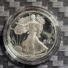 Image 2 : 1991-S American Silver Eagle 
