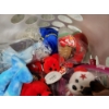 Image 2 : Large Assortment of Beanie Babies & Collectible Plushies Ft. Ohio State, MLB & More!