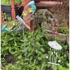 Image 2 : Assorted Outdoor Plant Stands/Hangers, Garden Decor, and More