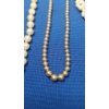Image 4 : Pearl Necklaces & Bracelet With 10K/14K Clasps- Weight: 40.7g