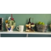 Image 3 : Louisville Home Pickup - 6 Ft Wood Wall Shelf Incl All Decor Items Shown In Photos  Nice Value Group