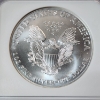 Image 4 : 1999 American Silver Eagle $1 - 1 oz .999 Fine Silver - Graded by NGC MS 69