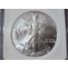 Image 2 : "Silver Dollar Set" 2006-W American Eagle - 1 oz .999 Fine Silver - 20th Anniv. NGC MS 69