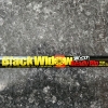 Image 2 : B & M BW3 10 Ft Black Widow Telescopic Pole 3 Sections W/ Crappie Reel - Good Condition! 