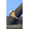Image 2 : Women's Josten's 10K Gold Washington Highschool Massillon, Ohio Ring -Size:6 - Weight: 3.2g