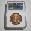 Image 3 : NGC Genuine 1954-1970 Great Britain Penny ~ Unique Toning!