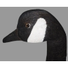 Image 4 : Solid Wood Carved Canadian Goose - Approx. 23"x9"x13"