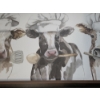 Image 3 : Excellent Condition Cow Wall Decor 30''x10'' & 36''x19''