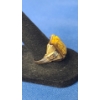 Image 3 : Men's 10K Gold Carved Cameo Ring With Tiger's Eye & Diamonds - Size 9.5 - Weight: 5.2g