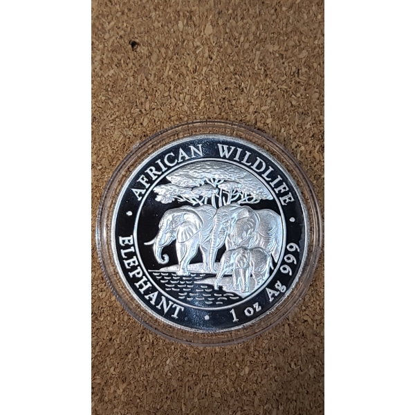 2013 Somalia 100 Shillings African Wildlife 1 Oz 999 Silver Proof Elephant Coin