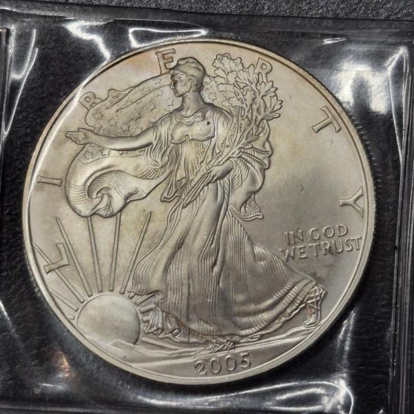 2005 United States Silver 1 Oz .999 Eagle - Uncirculated