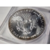 Image 3 : 1999 United States 1 Troy Oz American Eagle .999 Fine Silver Round in Protective Case