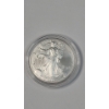 Image 1 : United States 2006-W One Troy Ounce .999 Fine Silver American Eagle In Coin Capsule