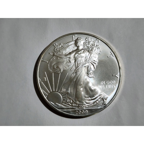 2009 American Eagle 1 Oz Fine Silver Round