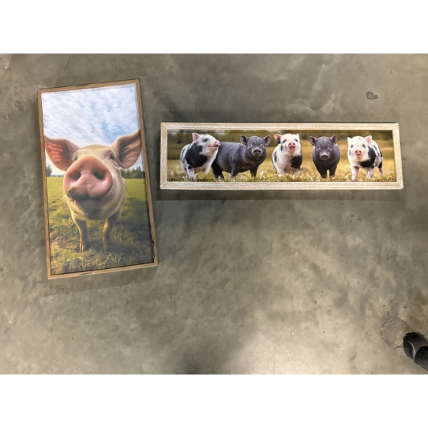 Pig with Snout Wall Hanging Art - 5 Adorable Pigs - 8x28 & 22x12"