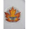 Image 2 : NGC- 2016 CANADA $20 MAPLE LEAF 1 OZ SILVER - COLORIZED EARLY RELEASES - PF 69 ULTRA CAMEO