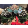 Image 4 : Storage Container With Lid - Like New Turtle Slippers, Stuffed Animals, Beanie Babies, Pound Puppie 