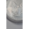 Image 3 : United States 2006-W One Troy Ounce .999 Fine Silver American Eagle In Coin Capsule