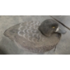 Image 2 : Eleven Life Size Floating Duck Decoys 