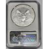 Image 3 : 2021 - 1oz "P" American Silver Eagle Coin