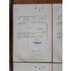 Image 9 : Lot of Four 1960's Pan American Sulphur Company 100 Shares Stock Certificates 