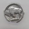 Image 2 : 1936 5C Buffalo Nickel CAC F12 Coin