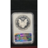 Image 9 : NGC 2012-S First Releases PF 70 Reverse PF & 2012-S PF 70 Ultra Cameo 1 Troy Oz 999 Silver Eagle Set