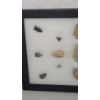 Image 2 : Framed Collection Of (15) Arrowheads