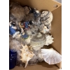 Image 4 : *Pick Up At Mantua Home-No Shipping Available*  Lace Table Runner - Doily - Box of Seashells