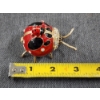 Image 8 : Unique Ladybug Trinket Jewelry Box 