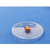 Image 3 : Zincite Gemstone - 6.05 Carat