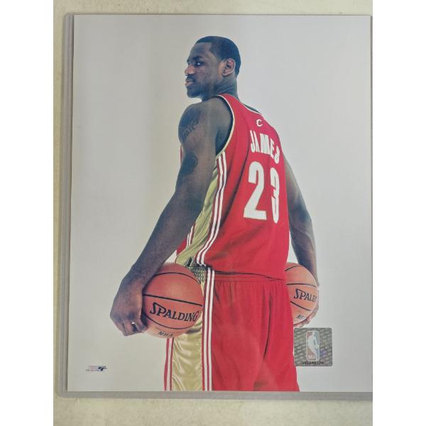 NBA Official LeBron James Rookie Year 8x10 Promotional Photo