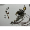 Image 2 : 2 Jewelry Boxes - One Heart Shaped - One with a Bow - Gorgeous Jewelry Pieces - Some Tangled Necklac