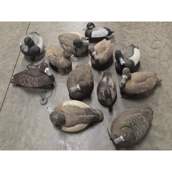 Eleven Life Size Floating Duck Decoys 