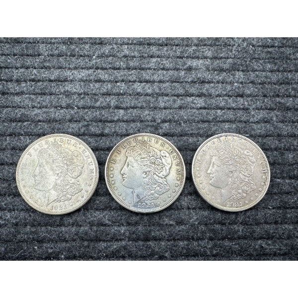 Three Morgan Silver Dollars