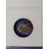 Image 4 : International Numismatic Bureau New World Pirate Era Spanish Bronze Nummis c. 1400-1600 AD