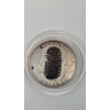 Image 2 : 2019-S Apollo 11 50th Anniversary Commemorative Clad Half Dollar In Coin Capsule