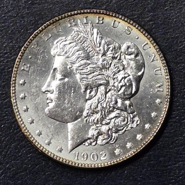 1902 Morgan Silver Dollar - Gem BU