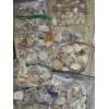 Image 6 : Amazing Collection of Sea Shells, Coral, Driftwood, Plant Life and More