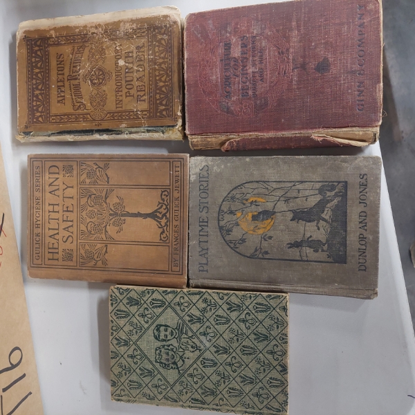 5 Volumes - Antique Childrens Readers - 1900s Appleton's School Reader & More 