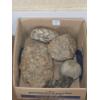 Image 1 : Assorted Rocks/Geodes