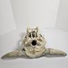 Image 4 : Weathered Sun Bleached Domestic Cattle Skull With Horns