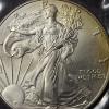 Image 2 : 2002 United States 1 Oz .999 fine Silver Eagle - See Pics   Very Slight Toning