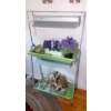 Image 1 : Illuminated PLant Growing Stand / Rack Including Contents 43 x 24 x 12