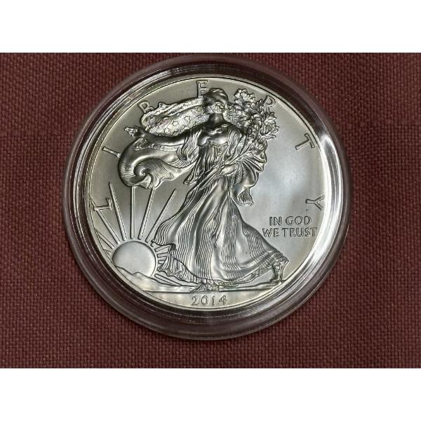 2014 American Silver Eagle - 1Toz .999 Silver