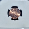 Image 4 : 2009 Lincoln Cent Birth and Childhood NGC MS 66 RD FDOI