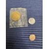 Image 1 : "Error" Penny & Tokens - Extinct is Forever Bear County USA Token & Predator Series Bobcat