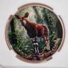 Image 4 : Wild Planet Animal Coin Collection 1 Oz .999 Fine Copper Colorized Okapi Round in Slab Case